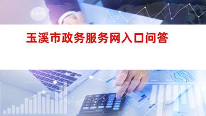 玉溪市政务服务网入口及信息技术咨询服务全指南